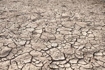 Siccit&#224;, segnalazione danni alle produzioni agricole - Scadenza posticipata